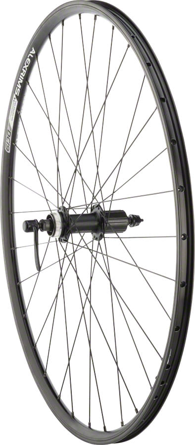 Quality Wheels Value Double Wall Series Rim+Disc Rear Wheel - 700, QR x135mm, Center-Lock, HG 11, Black, Clincher