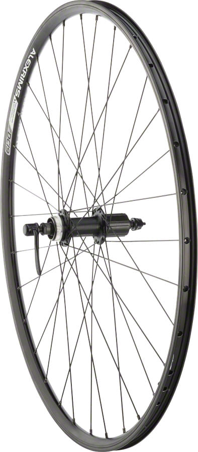 Quality Wheels Value Double Wall Series Rim+Disc Rear Wheel - 700, QR x135mm, Center-Lock, HG10, Black, Clincher