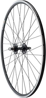 Quality-Wheels-Value-Double-Wall-Series-Track-Rear-Wheel---700-10-x-1-x-120mm-Rim-Brake-Fixed-Freewheel-Black-Clincher-WE8648-5