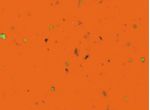 Cinelli-Cork-Ribbon-Handlebar-Tape---Orange-HT3607-5