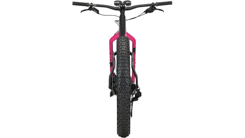 Salsa beargrease discount carbon nx eagle