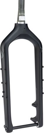 Salsa-Kingpin-Carbon-Deluxe-Fork-15x150mm-Thru-Axle-Black-FK8200-5