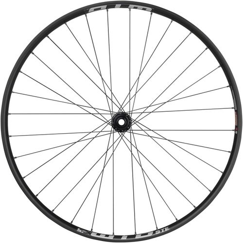 Quality Wheels Bear Pawls / WTB ST i30 Front Wheel - 29", 15 x 110mm, Center-Lock, Black