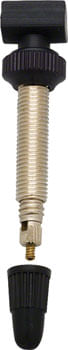 DT-Swiss-Wide-Base-Tubeless-Valve---32mm-Sold-Each-PU1150