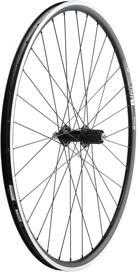 Quality-Wheels-105-R460-Rear-Wheel---700-QR-x-130mm-Rim-Brake-HG-11-Black-Clincher-WE7343-5