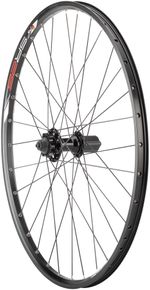 Quality-Wheels-Value-Double-Wall-Series-Disc-Rear-Rear-Wheel---26--QR-x-135mm-6-Bolt-HG-10-Black-Clincher-WE8609-5