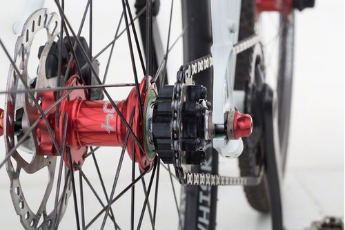 Problem Solvers Zinger SingleSpeed Conversion Kit for XD