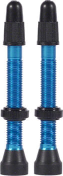 WTB-Aluminum-TCS-Tubeless-Valves--34mm-Blue-Pair-PU1605