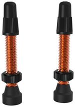WTB-Aluminum-TCS-Tubeless-Valves--34mm-Orange-Pair-PU1610