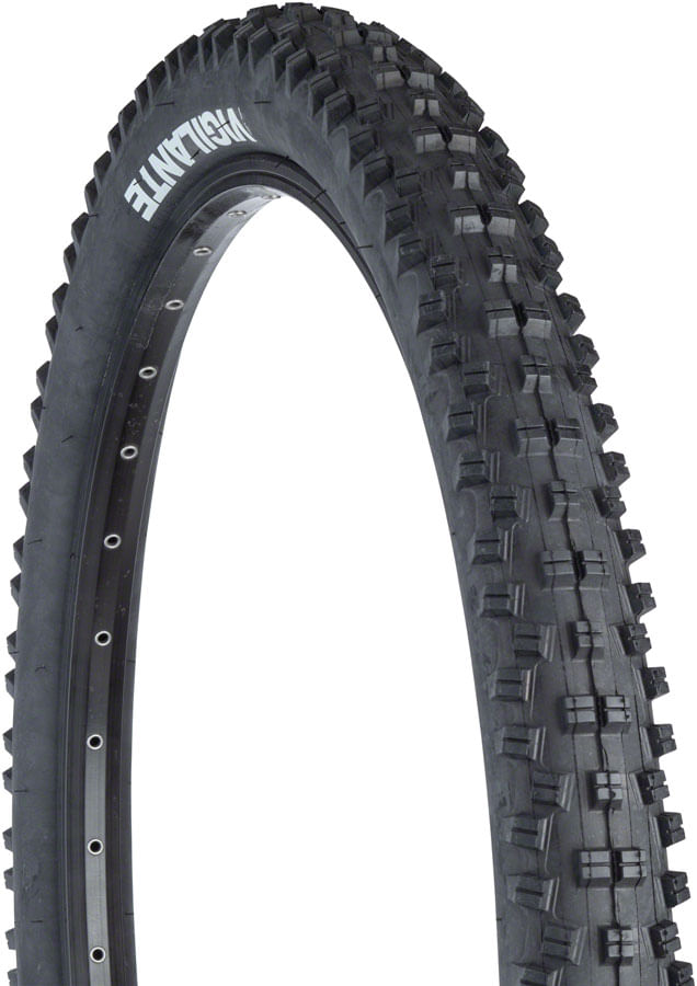 WTB-Vigilante-Tire---26-x-23-Clincher-Wire-Black-TR1617-5