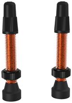 WTB-Aluminum-TCS-Tubeless-Valves--34mm-Orange-Pair-PU1610-5