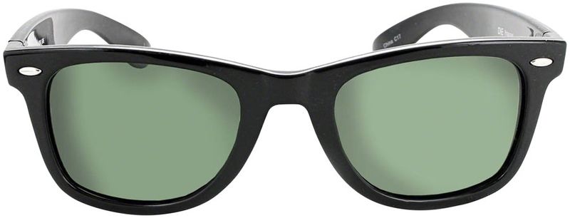 ONE-Dylan-Polarized-Sunglasses--Shiny-Black-with-Polarized-Gray-Lens-EW4287-5