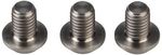 Cane-Creek-eeWings-Titanium-Direct-Mount-Chainring-Bolts-Bag-of-3-CK1103