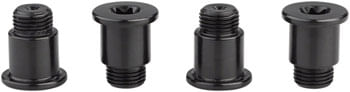 SRAM-Force-eTap-AXS-Crank-Chainring-Bolt-Kit---For-2x-107-BCD-Aluminum-Black-D1-CR2282