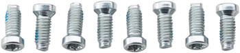 SRAM-Crank-Bolt-Kit---Removable-Spider-Mounting-Torx-T20-Qty-8-CR2233