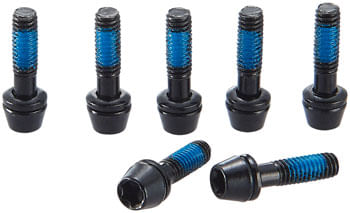 Ritchey-WCS-Replacement-Stem-Bolts--C260-Stem-SM4033