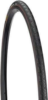 Continental Grand Prix 4-Season Tire - 700 x 28, Clincher, Folding, Black, Vectran Breaker, DuraSkin