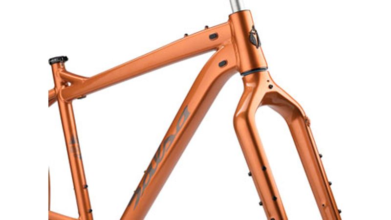Salsa Blackborow Fat Bike Frame Aluminum Large Copper
