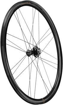Campagnolo Bora Ultra WTO 33 Front Wheel - 700c, 12 x 100mm, Center-Lock, 2-Way Fit, Gray