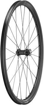Fulcrum-Rapid-Red-Carbon-Front-Wheel---700c-12-x-100mm-Center-Lock-Disc-Black