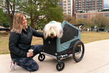 Burley-Bark-Ranger-XL-Pet-Bike-Trailer