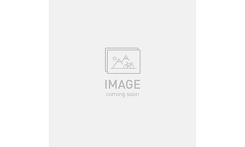 DQS MERYL SKINLIFE TALL SOCK TEAM REPLICA M