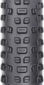 TR1049-01.jpg