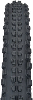 TR1306-02.jpg