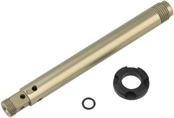 RS9586.jpg