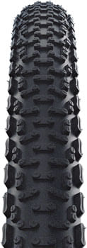 TR2892-02.jpg