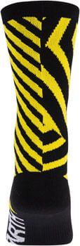 SK2004-03.jpg