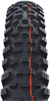 TR2886-02.jpg