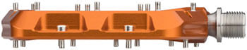 PD0196-02.jpg