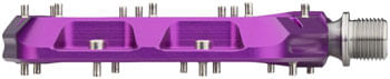 PD0194-02.jpg