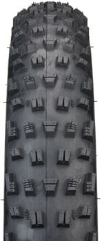 TR1839-05.jpg