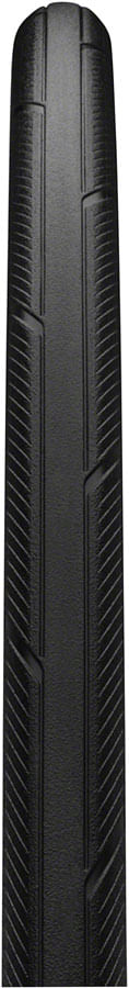 TR9176-01.jpg