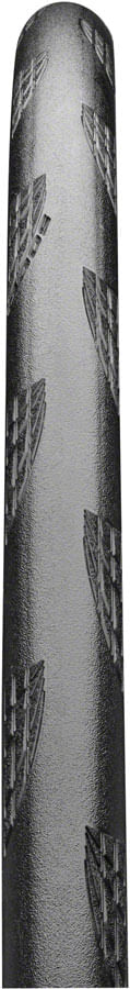 TR2492-01.jpg