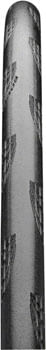 TR2492-01.jpg