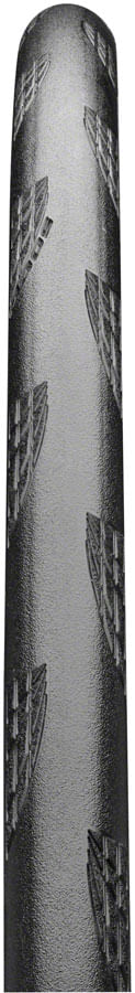 TR8079-01.jpg