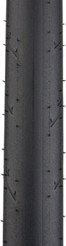 TR1565-01.jpg