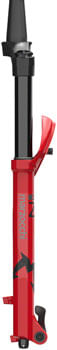 FK2877-02.jpg