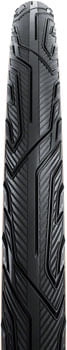 TR7460-01.jpg