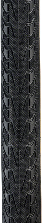 TR2301-01.jpg