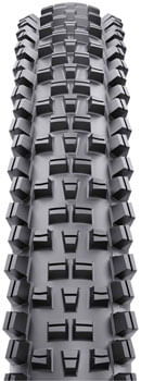 TR1063-01.jpg