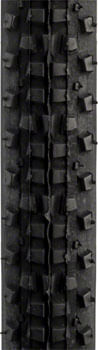 TR1637-01.jpg