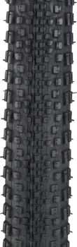 TR1640-01.jpg
