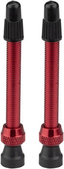 PU2316.jpg