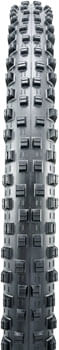 TR1228-01.jpg