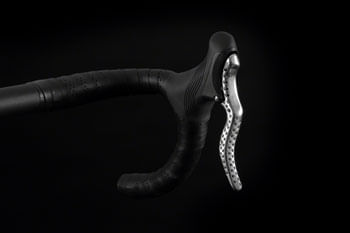 BR7970.jpg?v=638580241697570000