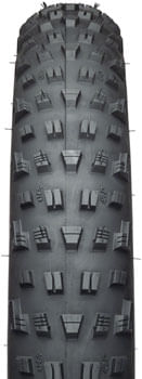 TR7519-05.jpg